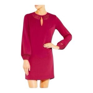 DVF Diane von Furstenberg Raspberry Damian Dress Size 6